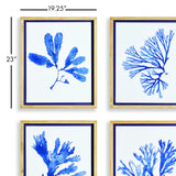 Napa  INDIGO SEAWEED PRINTS, SET OF 4