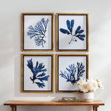 Napa  INDIGO SEAWEED PRINTS, SET OF 4