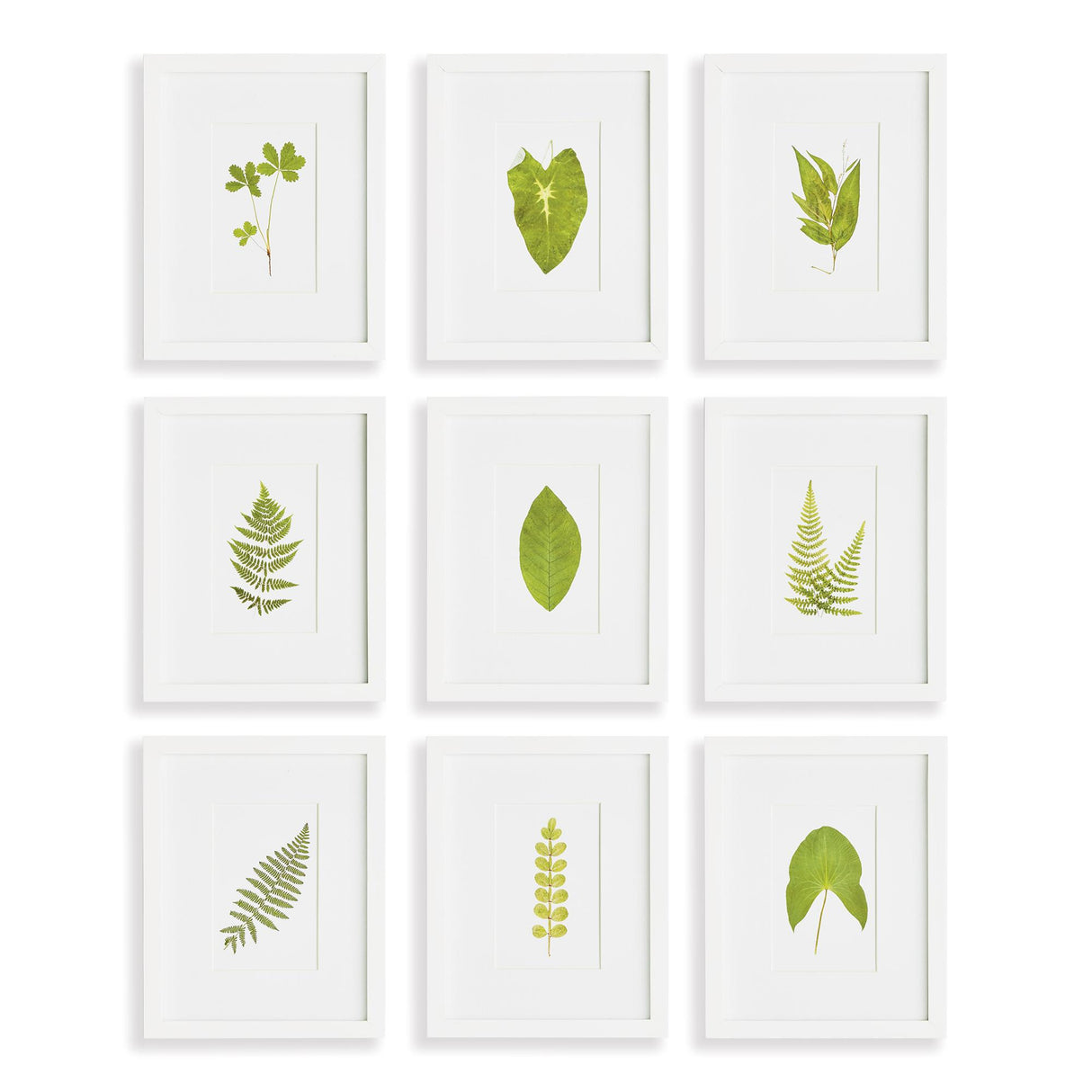 Napa Includes mat GREEN LEAF PETITE PRINTS, SET OF 9