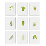 Napa Includes mat GREEN LEAF PETITE PRINTS, SET OF 9