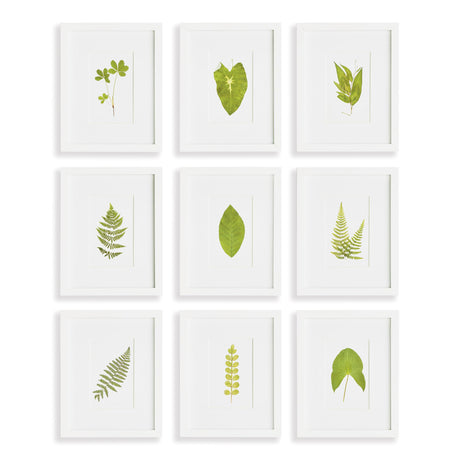 Napa Includes mat GREEN LEAF PETITE PRINTS, SET OF 9