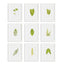 Napa Includes mat GREEN LEAF PETITE PRINTS, SET OF 9