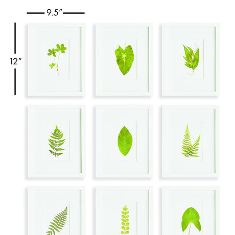 Napa Includes mat GREEN LEAF PETITE PRINTS, SET OF 9