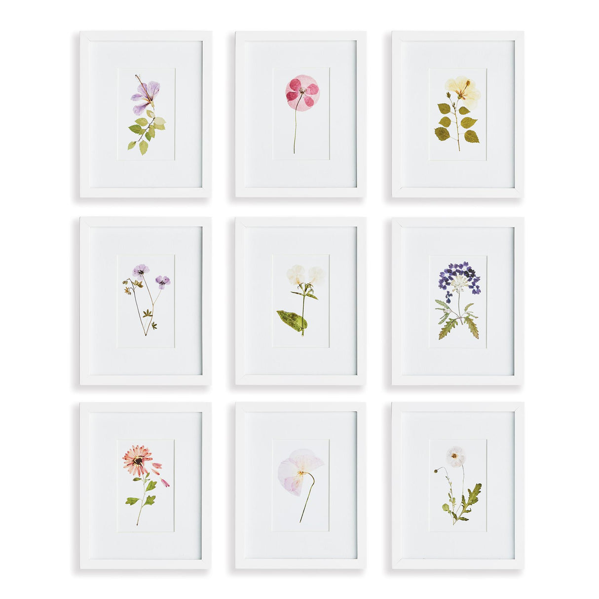 Napa Includes mat MOUNTAIN FLOWER PETITE PRINTS, SET OF 9