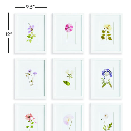 Napa Includes mat MOUNTAIN FLOWER PETITE PRINTS, SET OF 9