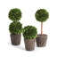 Napa Preserved boxwood BOXWOOD MINI TOPIARY DROP-INS, SET OF 3
