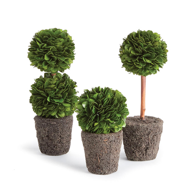 Napa Preserved boxwood BOXWOOD MINI TOPIARY DROP-INS, SET OF 3