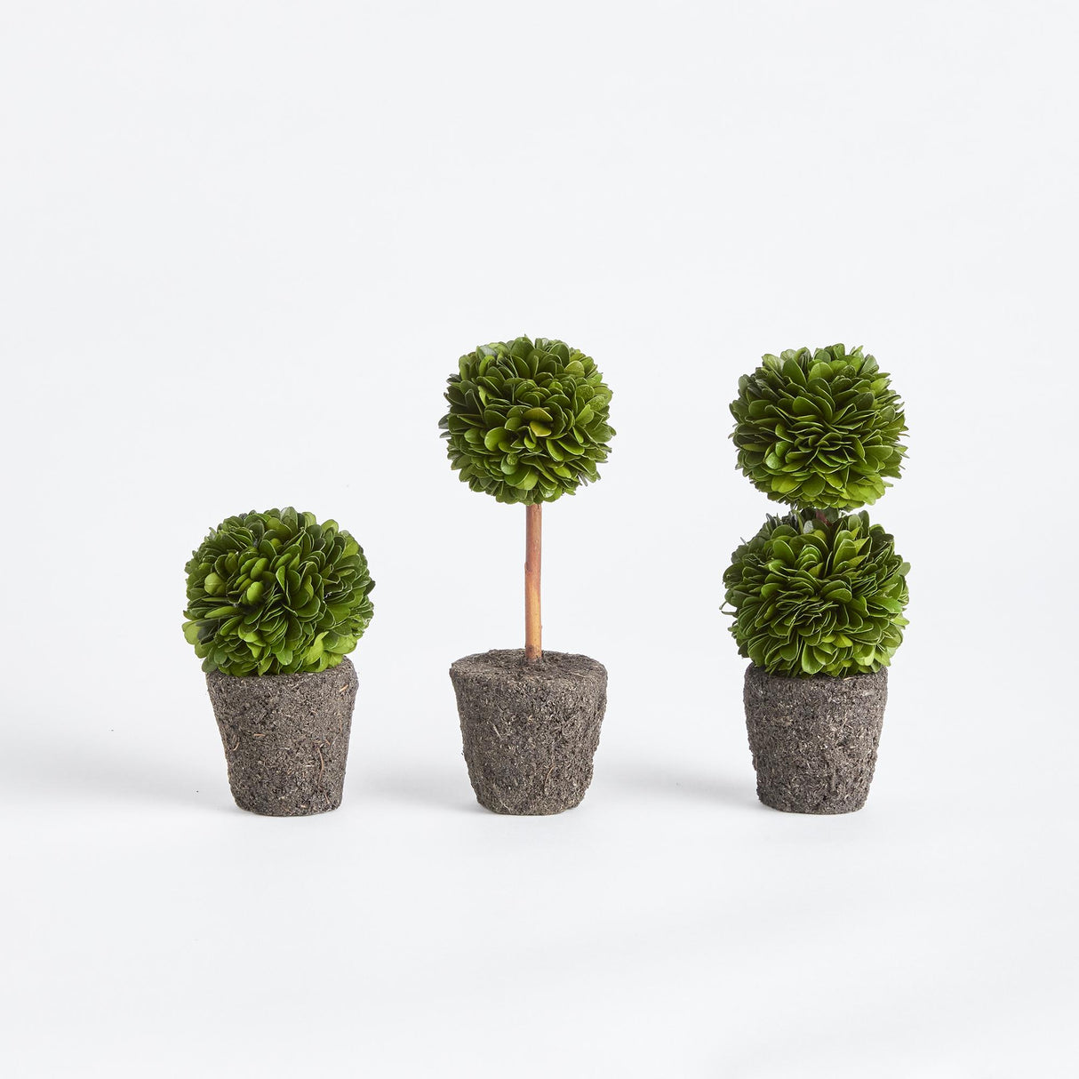 Napa Preserved boxwood BOXWOOD MINI TOPIARY DROP-INS, SET OF 3