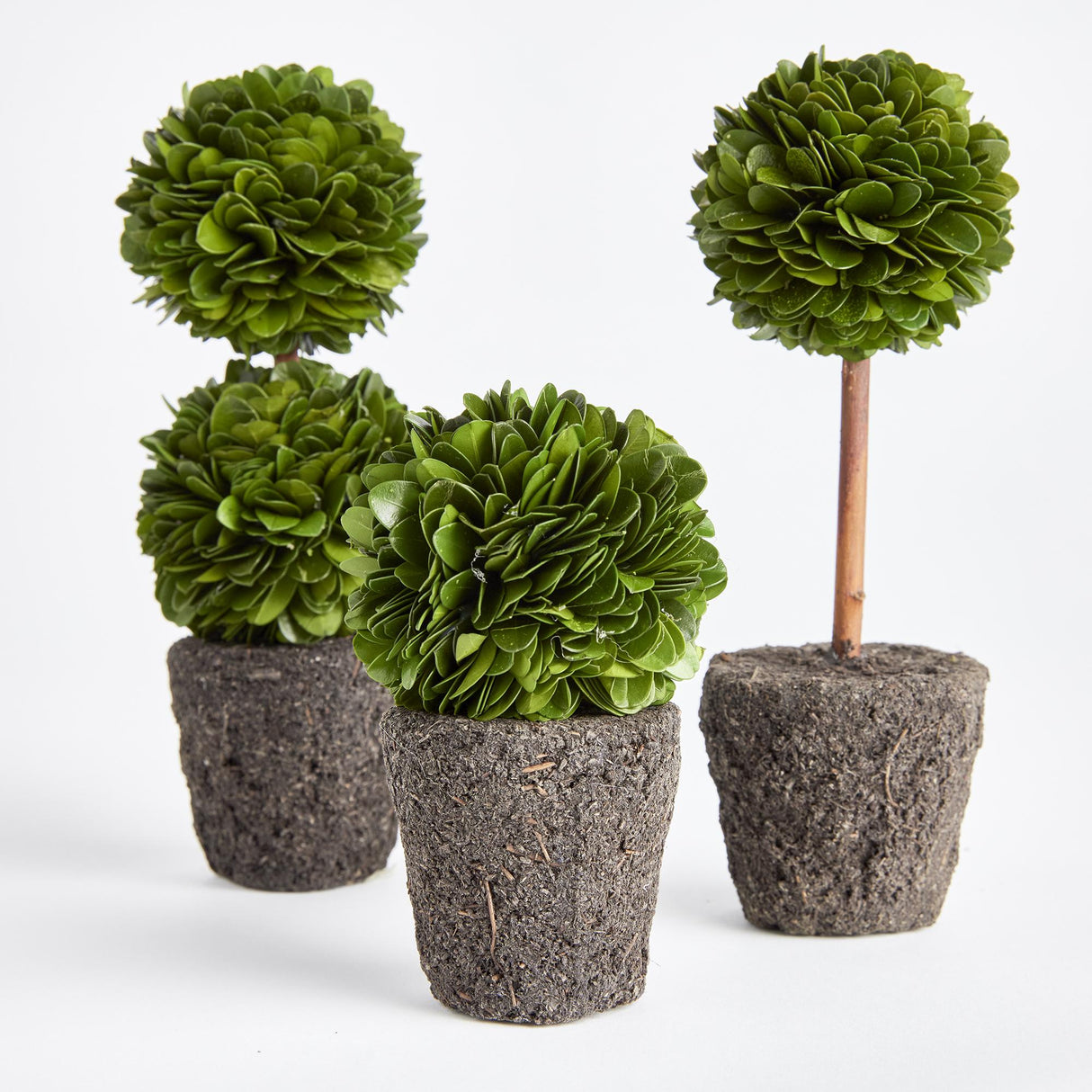 Napa Preserved boxwood BOXWOOD MINI TOPIARY DROP-INS, SET OF 3