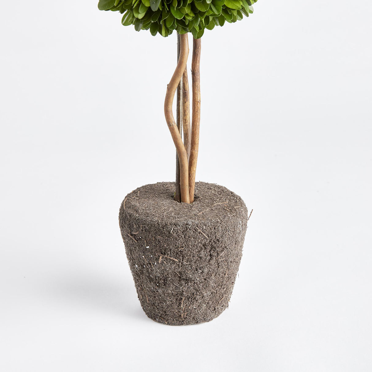 Napa Preserved boxwood BOXWOOD SINGLE SPHERE TOPIARY DROP-IN 16"