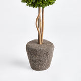 Napa Preserved boxwood BOXWOOD SINGLE SPHERE TOPIARY DROP-IN 16"