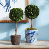 Napa Preserved boxwood BOXWOOD SINGLE SPHERE TOPIARY DROP-IN 16"