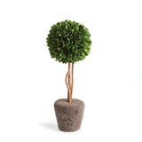 Napa Preserved boxwood BOXWOOD SINGLE SPHERE TOPIARY DROP-IN 16"