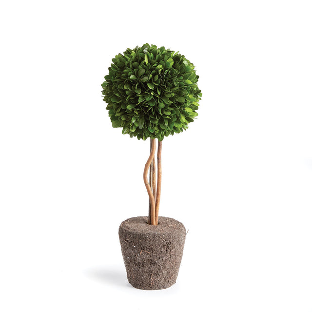Napa Preserved boxwood BOXWOOD SINGLE SPHERE TOPIARY DROP-IN 16"
