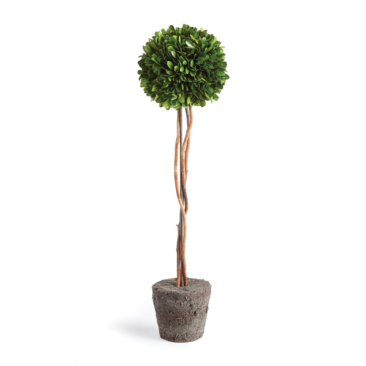 Napa Preserved boxwood BOXWOOD SINGLE SPHERE TOPIARY DROP-IN 24"