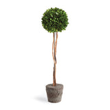 Napa Preserved boxwood BOXWOOD SINGLE SPHERE TOPIARY DROP-IN 24"