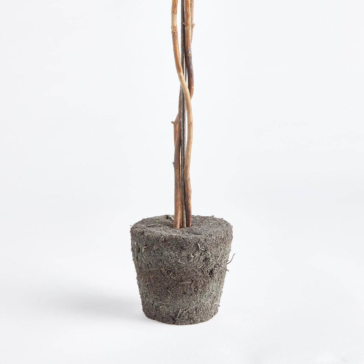 Napa Preserved boxwood BOXWOOD SINGLE SPHERE TOPIARY DROP-IN 24"