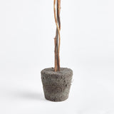 Napa Preserved boxwood BOXWOOD SINGLE SPHERE TOPIARY DROP-IN 24"