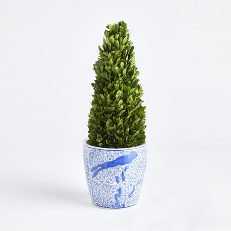 Napa Preserved boxwood BOXWOOD CONE TOPIARY DROP-IN 16"