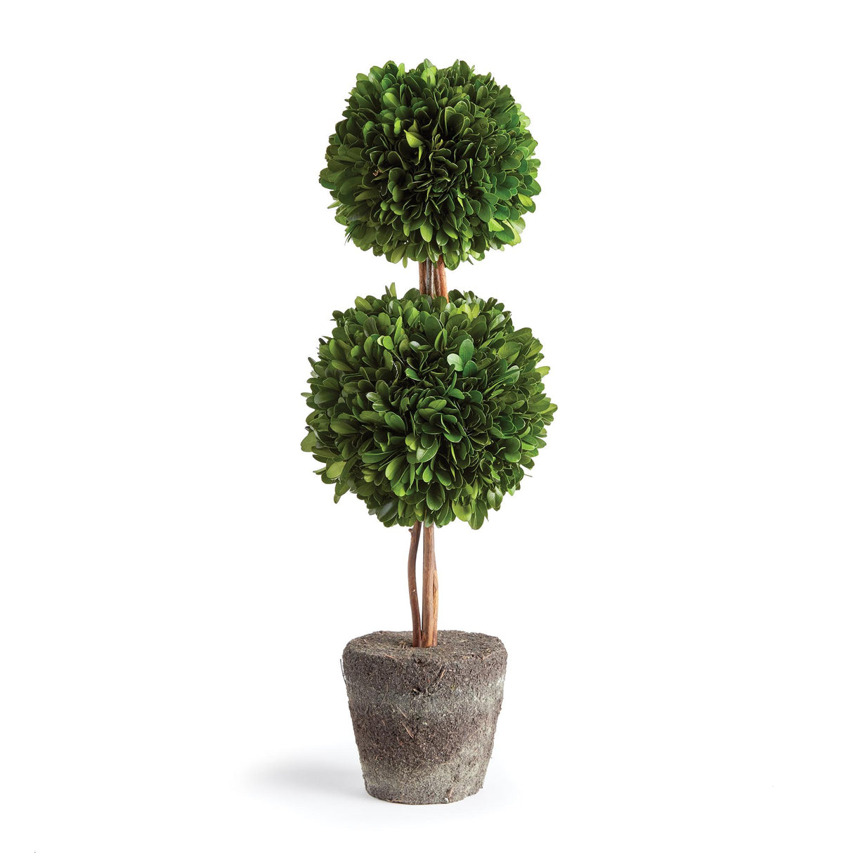 Napa Preserved boxwood BOXWOOD DOUBLE SPHERE TOPIARY DROP-IN 20"