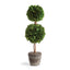 Napa Preserved boxwood BOXWOOD DOUBLE SPHERE TOPIARY DROP-IN 20"