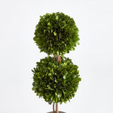 Napa Preserved boxwood BOXWOOD DOUBLE SPHERE TOPIARY DROP-IN 20"