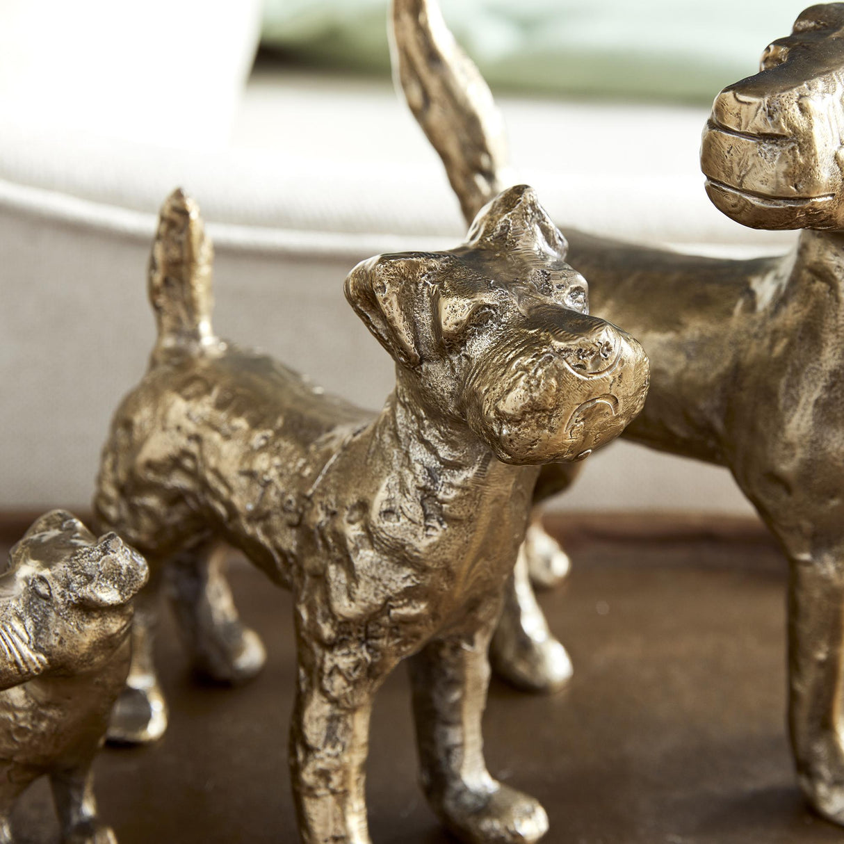 Napa Gold LITTLE PACK, SET OF 3