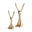 Napa Gold JACKRABBITS, SET OF 2
