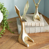 Napa Gold JACKRABBITS, SET OF 2