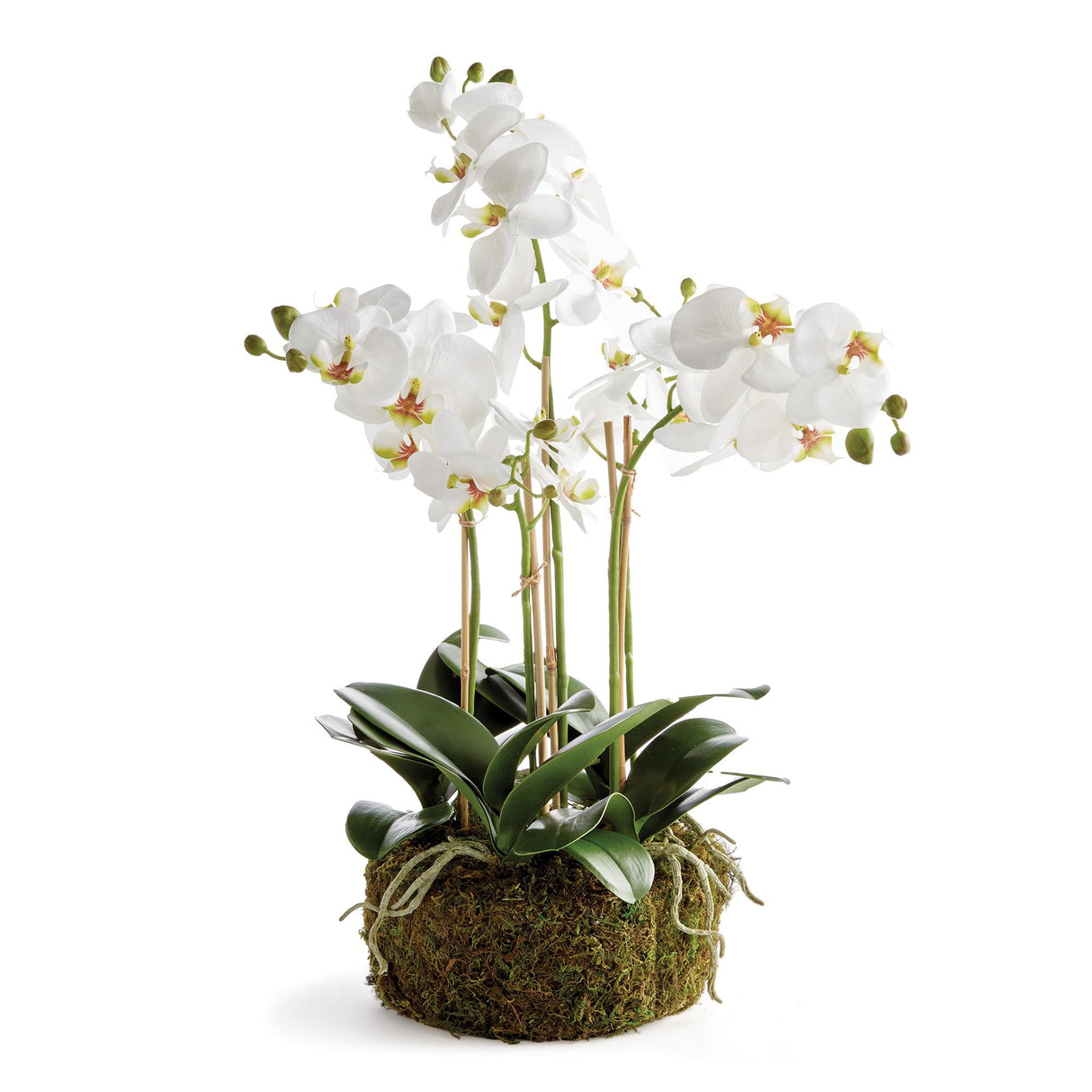 Napa White PHALAENOPSIS ORCHID BOWL DROP-IN 20"