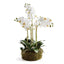 Napa White PHALAENOPSIS ORCHID BOWL DROP-IN 20"