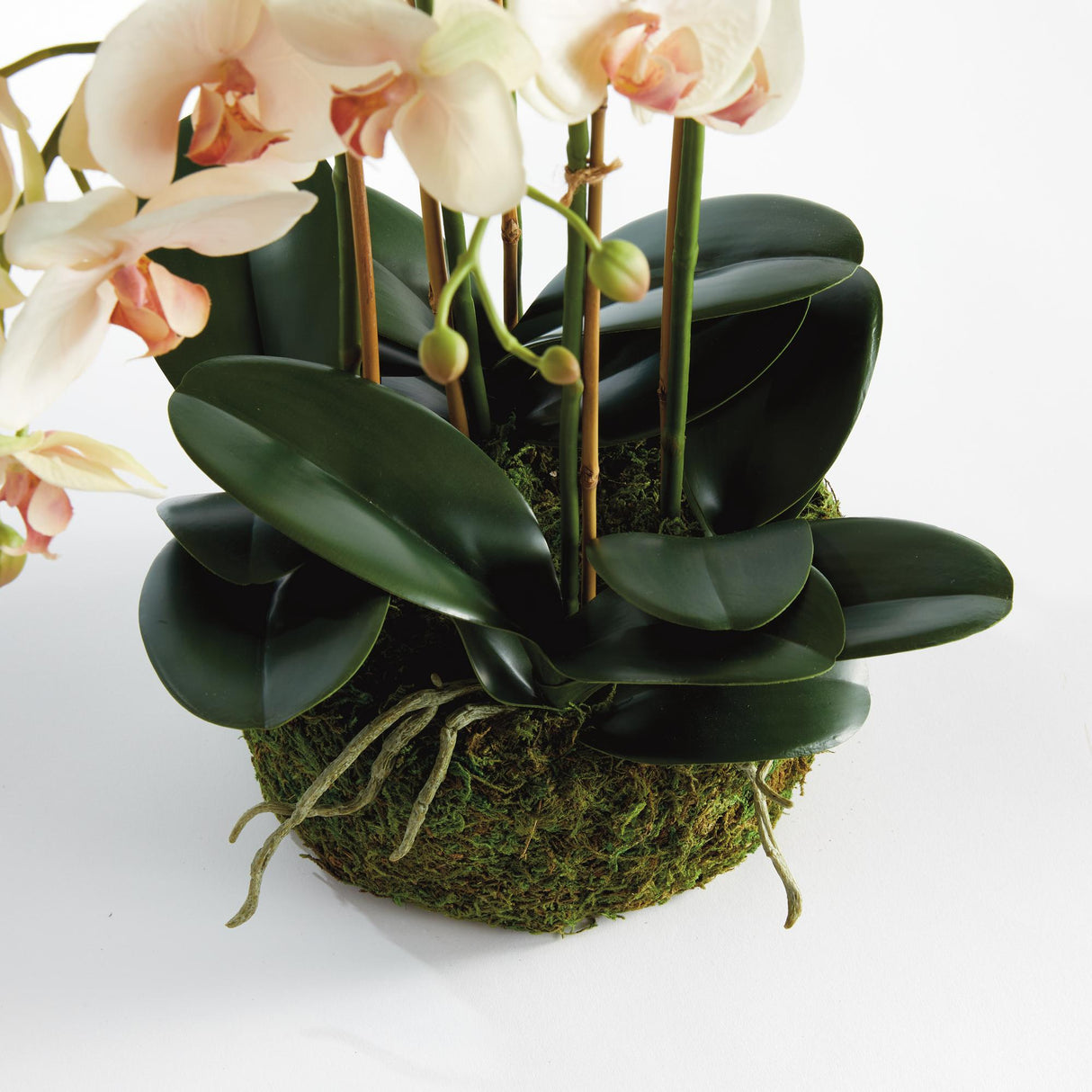 Napa Blush PHALAENOPSIS ORCHID BOWL DROP-IN 18.5"