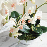 Napa Blush PHALAENOPSIS ORCHID BOWL DROP-IN 18.5"
