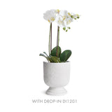 Napa White ISADORA FOOTED URN LARGE
