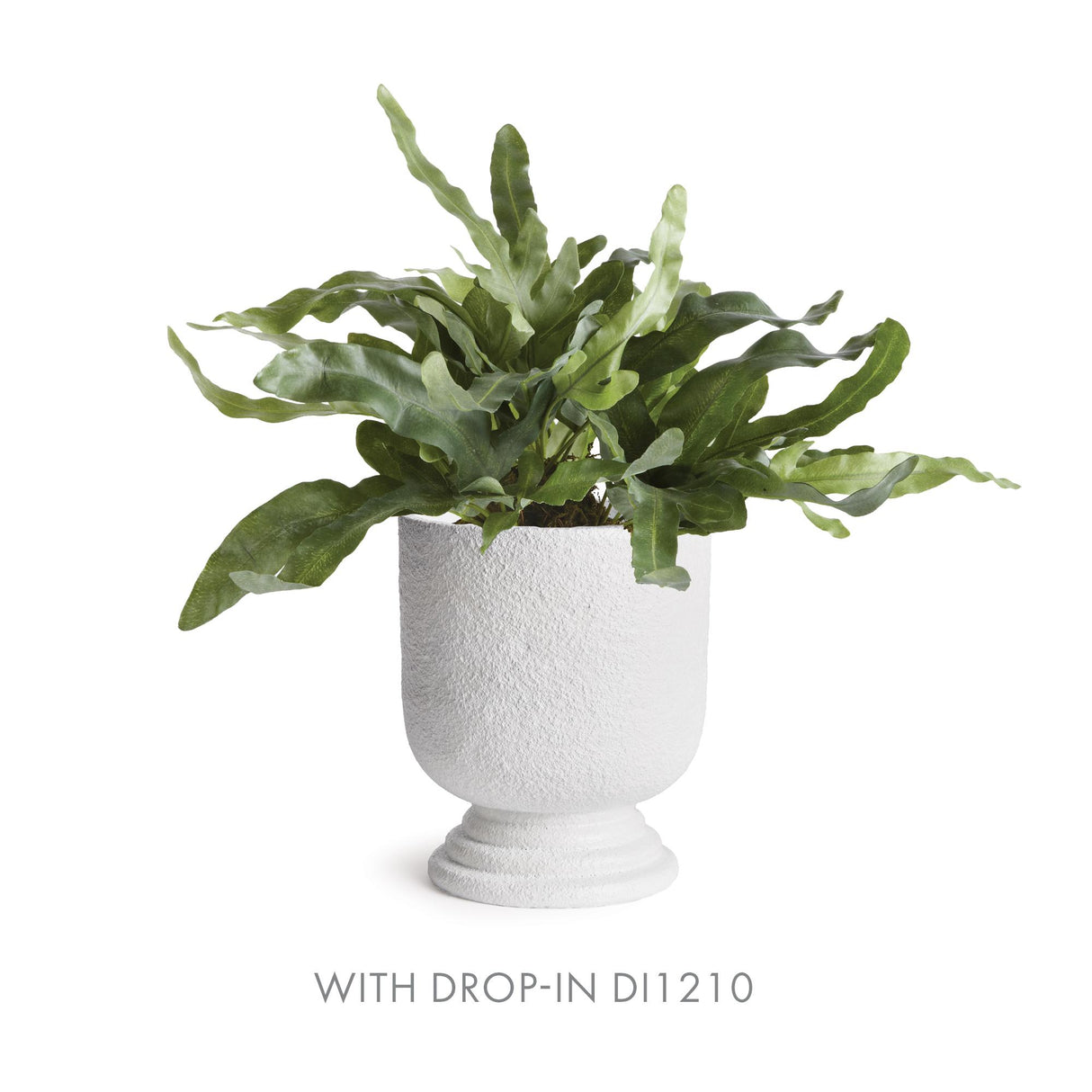 Napa White ISADORA FOOTED URN LARGE