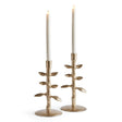 Napa Gold BRIER TAPER HOLDERS, SET OF 2