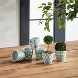 Napa Green/White IMPERIAL MINI FLOWER POTS, SET OF 6