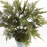 Napa  PLUMOSA FERN DROP-IN 21"