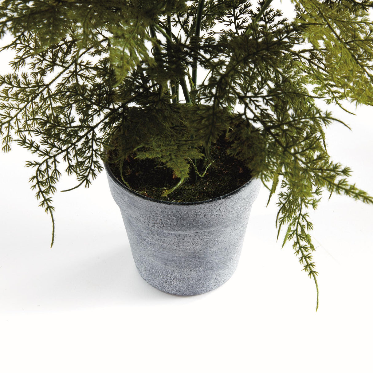 Napa  PLUMOSA FERN DROP-IN 21"