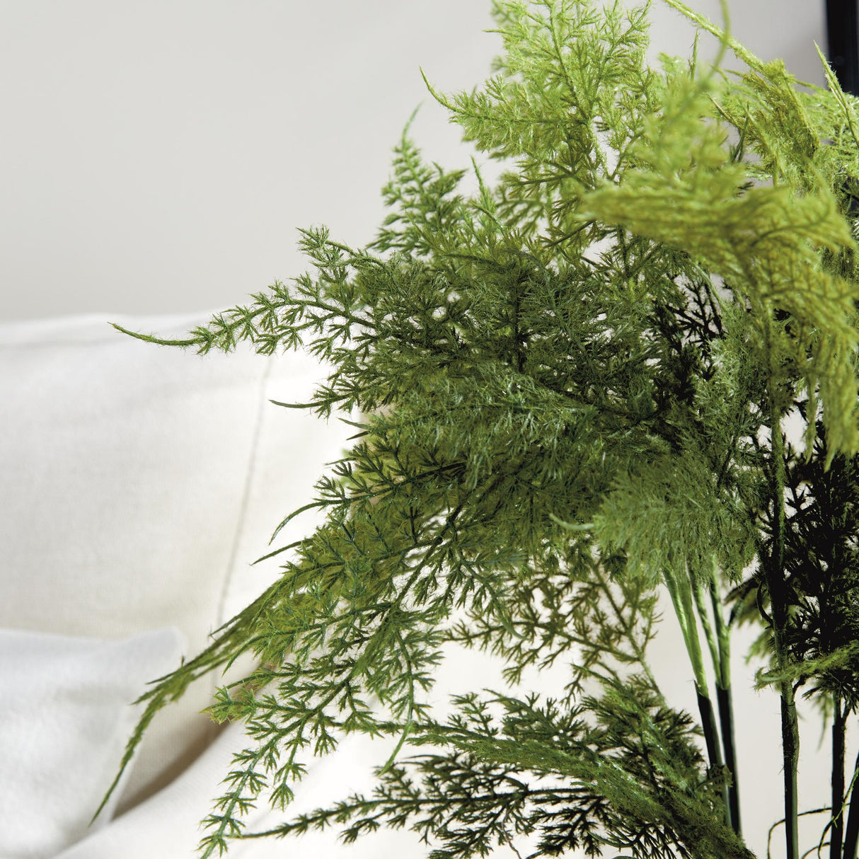 Napa  PLUMOSA FERN DROP-IN 21"