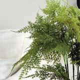 Napa  PLUMOSA FERN DROP-IN 21"