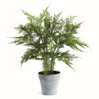 Napa  PLUMOSA FERN DROP-IN 21"