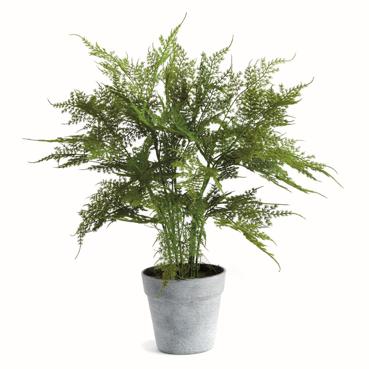 Napa  PLUMOSA FERN DROP-IN 21"