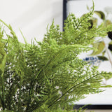 Napa  PLUMOSA FERN DROP-IN 21"