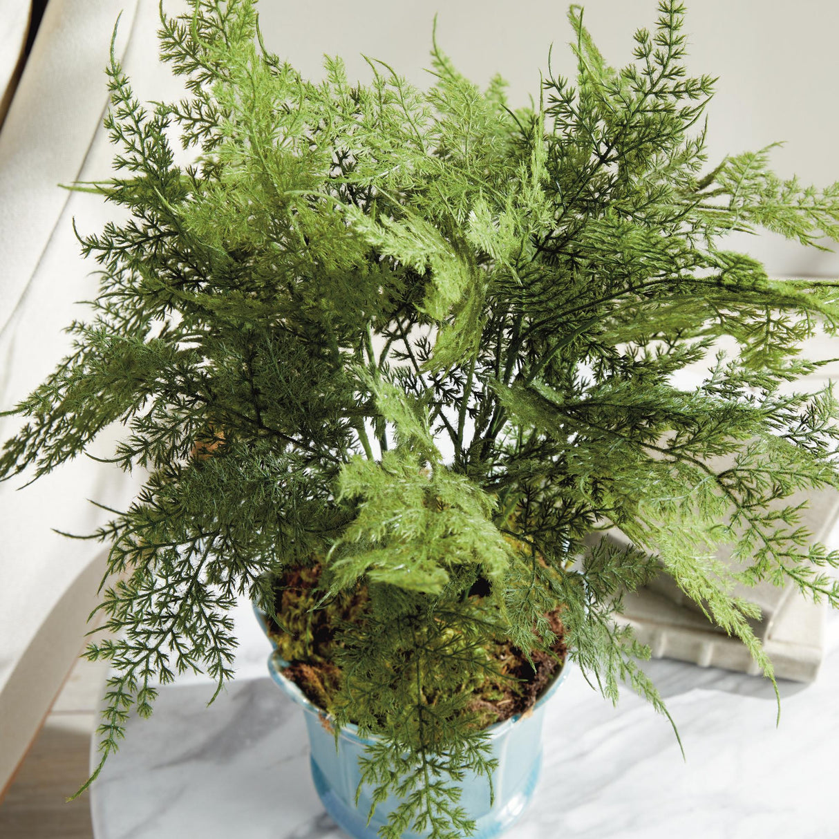 Napa  PLUMOSA FERN DROP-IN 21"