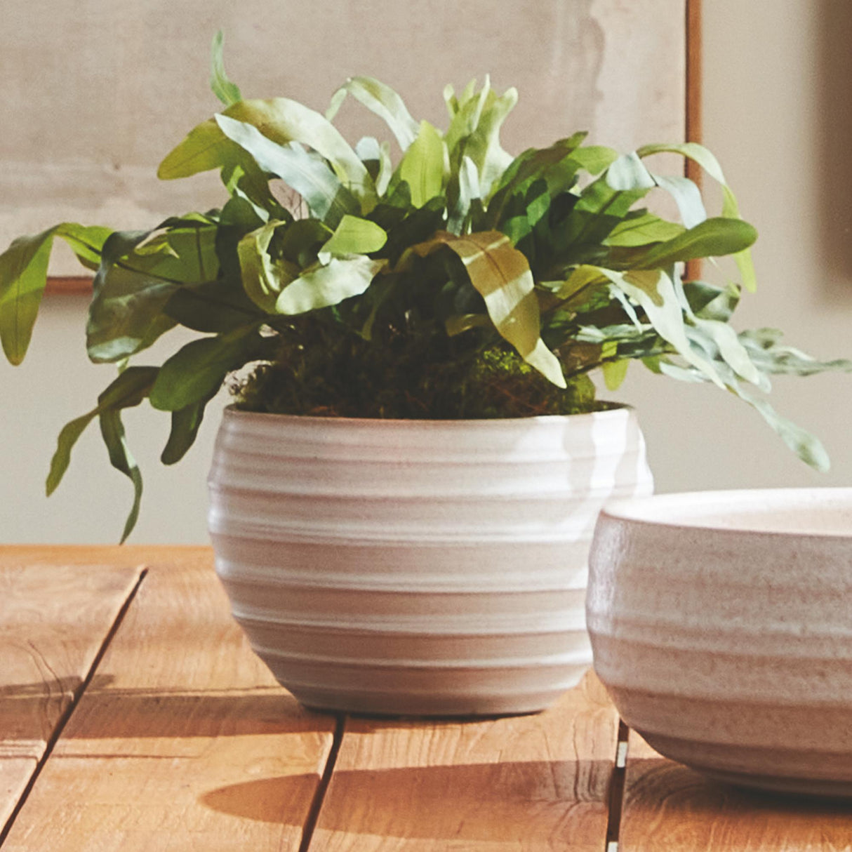 Napa White CHRYSSA POT