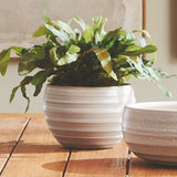 Napa White CHRYSSA POT