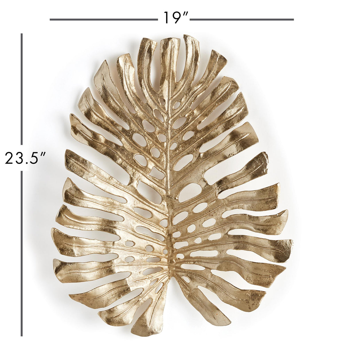 mammillaria guelzowiana v. robustior Mammillaria guelzowiana – AceMegaSucculents main image 1