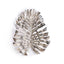 Napa Silver MONSTERA WALL ART SMALL