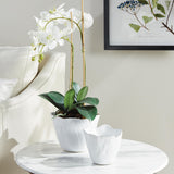 Napa White MARIBELLA CACHEPOTS, SET OF 2